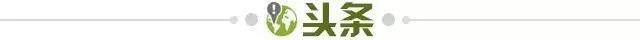 1736985217618023863.jpg 头条.jpg